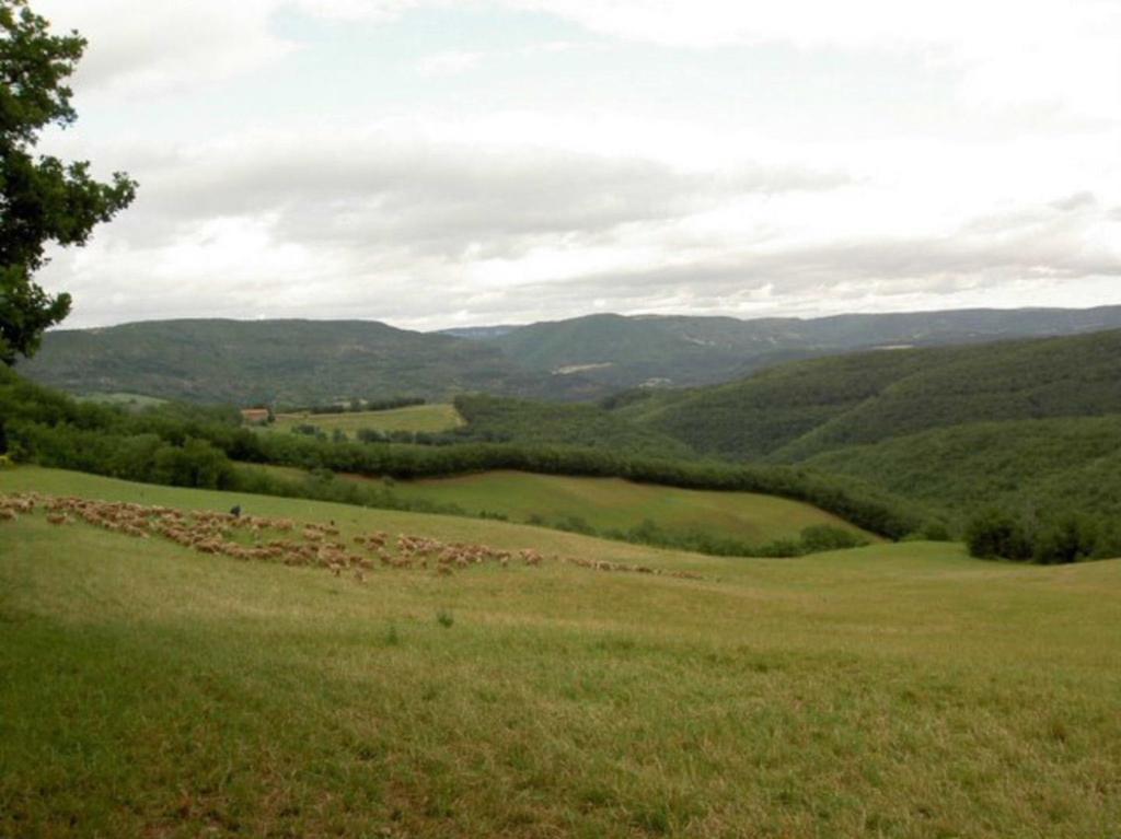 Gite L'Oustal Occitan A Saint-Juery Villa Esterno foto